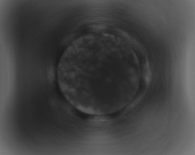 X0000100890758200807081041