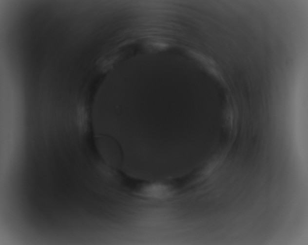 X0000100890759200807081041