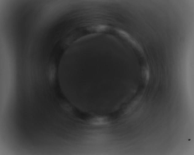 X0000100890760200807081041