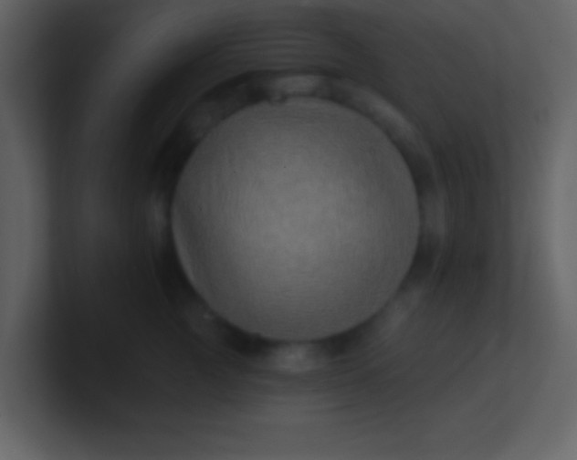 X0000100890761200807081041