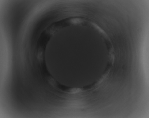 X0000100890762200807081041