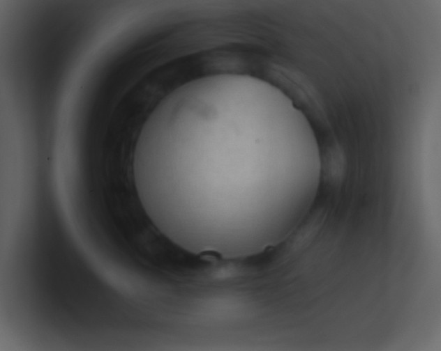 X0000100890764200807081041