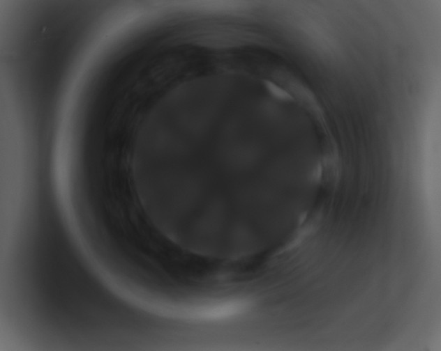 X0000100890765200807081041