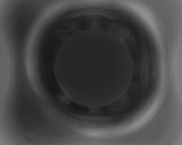 X0000100890766200807081041