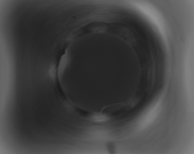 X0000100890767200807081041