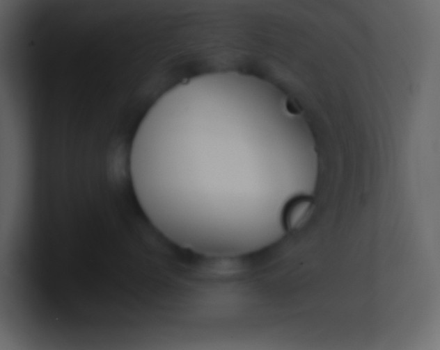 X0000100890768200807081041