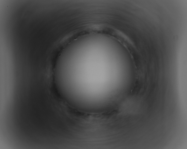 X0000100890773200807081040