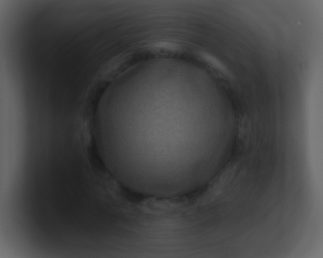 X0000100890774200807081040