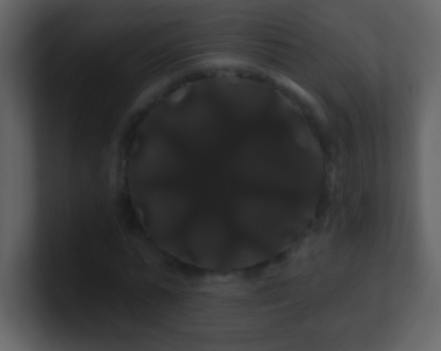 X0000100890775200807081040