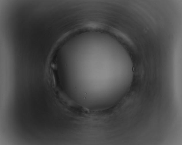 X0000100890776200807081040