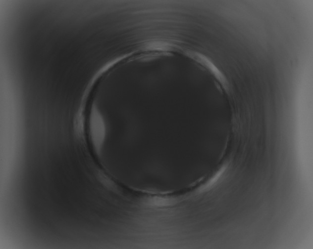 X0000100890779200807081040