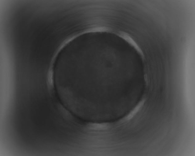 X0000100890781200807081040