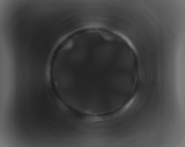 X0000100890783200807081040