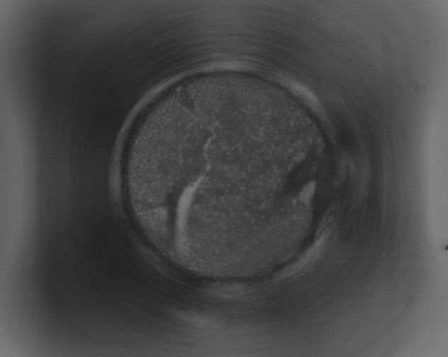 X0000100890784200807081040