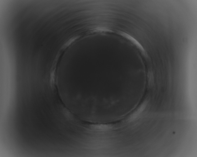 X0000100890785200807081040