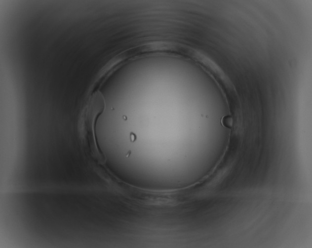 X0000100890786200807081040