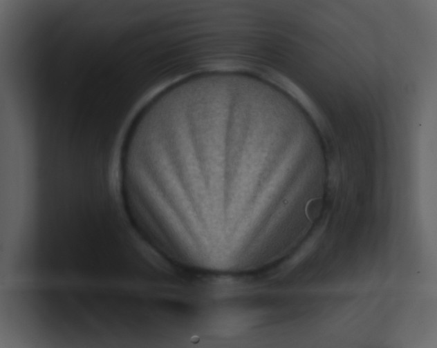 X0000100890787200807081040