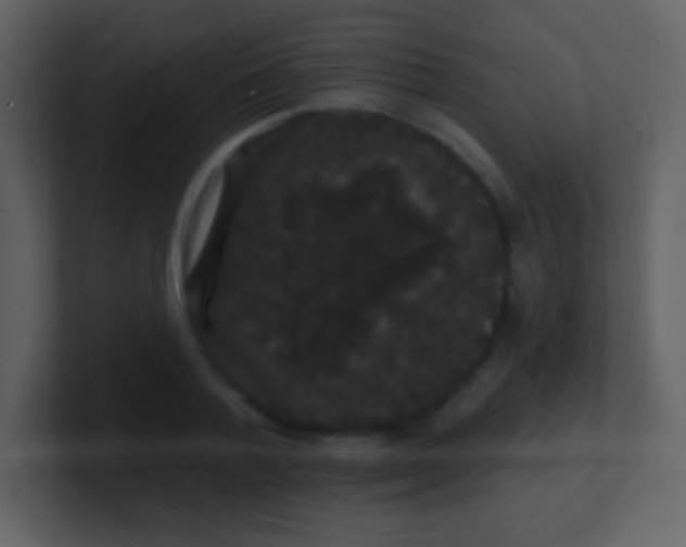 X0000100890788200807081040