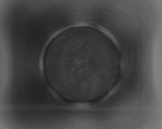 X0000100890789200807081040