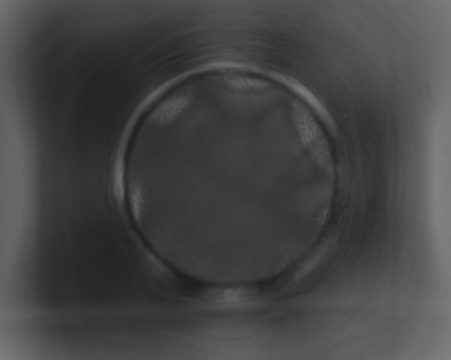 X0000100890791200807081040