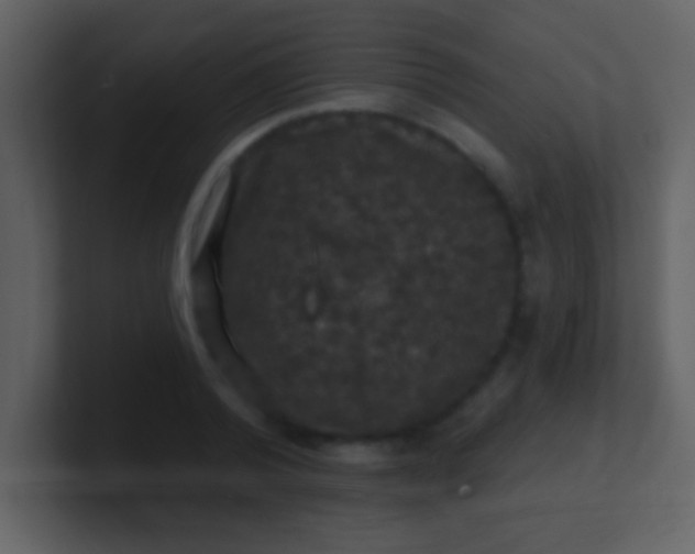 X0000100890792200807081040