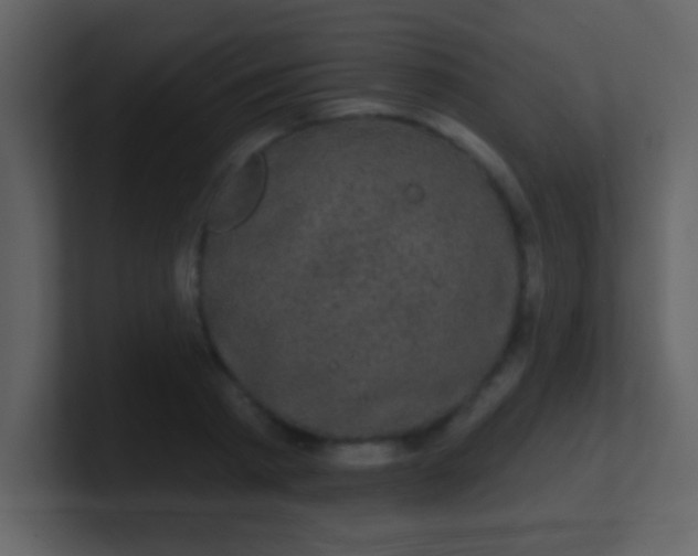 X0000100890793200807081040