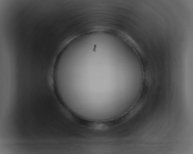 X0000100890794200807081040