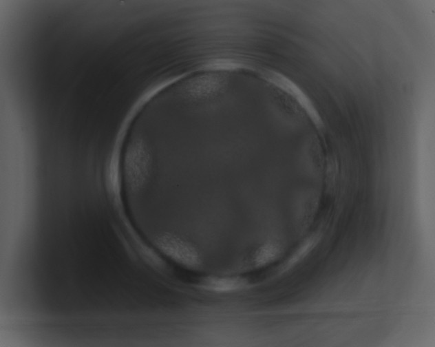 X0000100890795200807081040