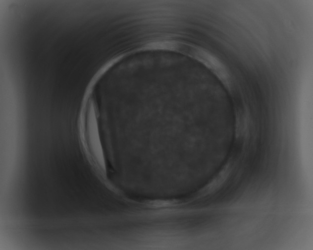 X0000100890796200807081040