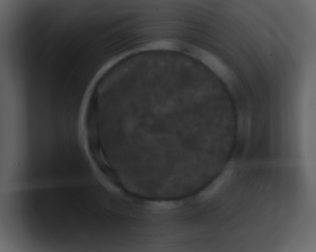 X0000100890800200807081040