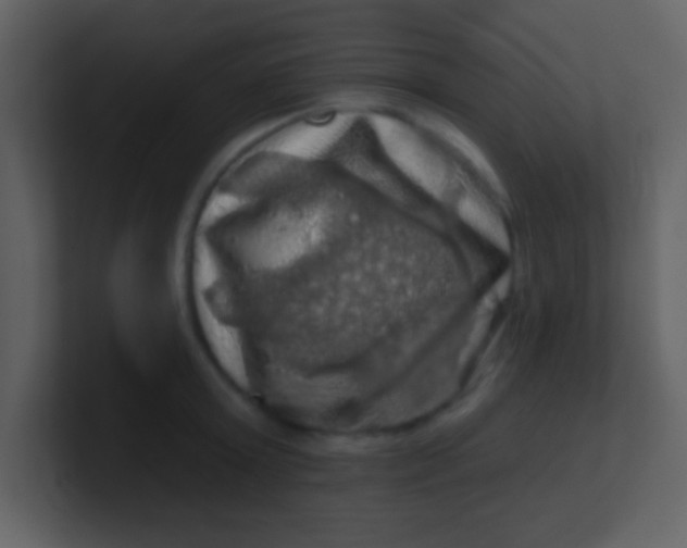 X0000100890803200807081040