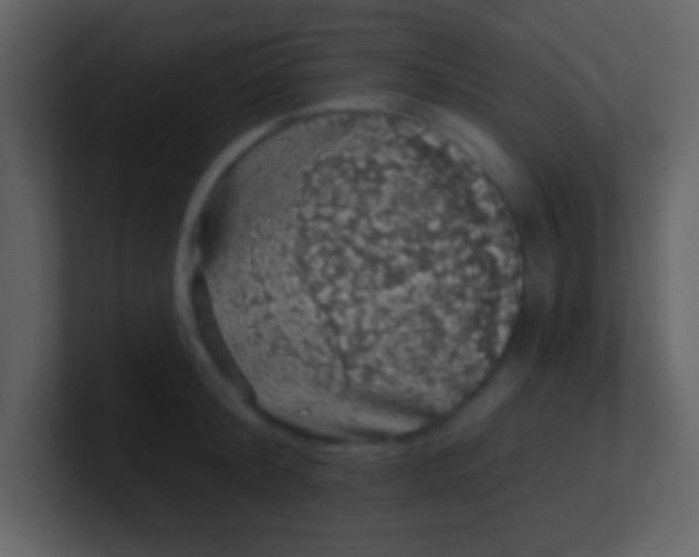 X0000100890804200807081040