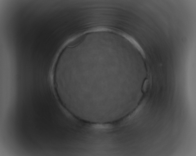 X0000100890805200807081039