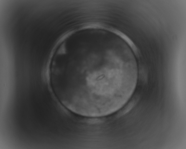 X0000100890807200807081039