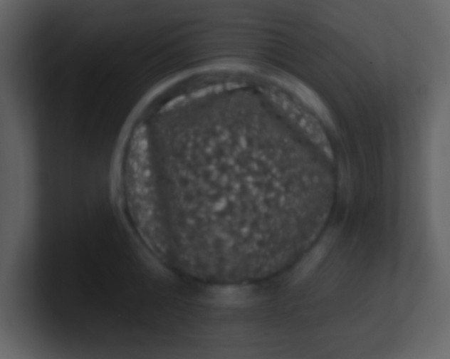 X0000100890808200807081039