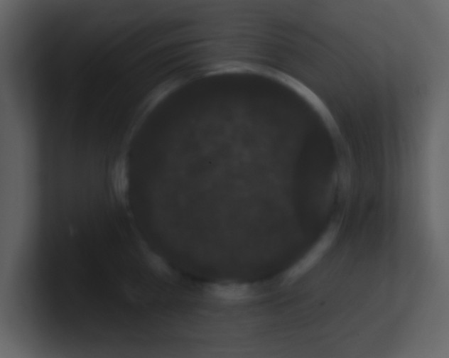 X0000100890809200807081039