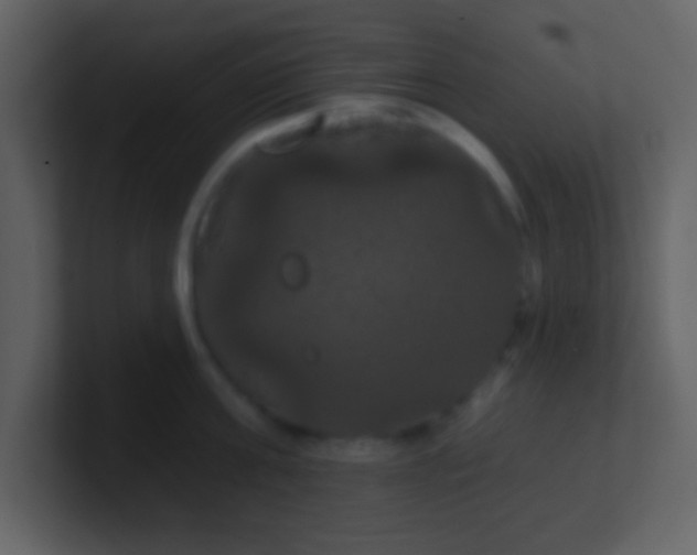 X0000100890811200807081039