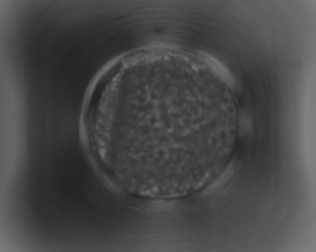 X0000100890812200807081039