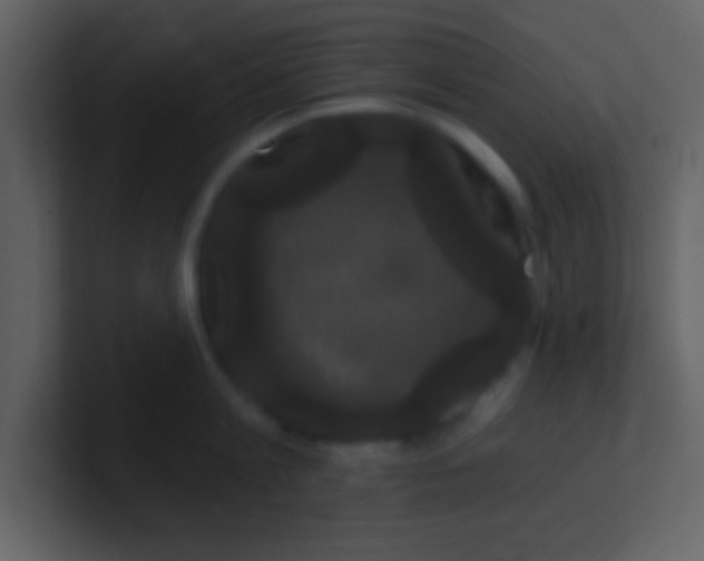 X0000100890813200807081039