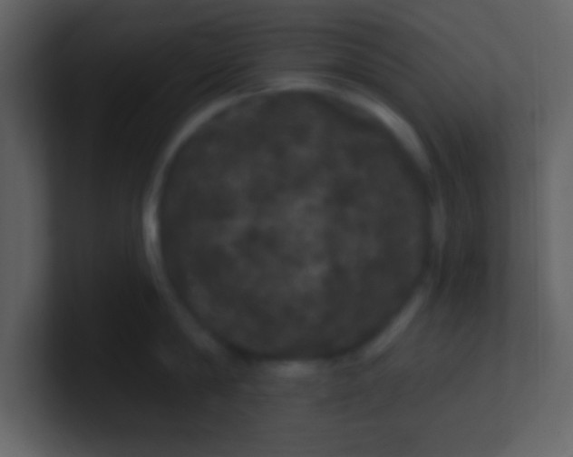 X0000100890814200807081039