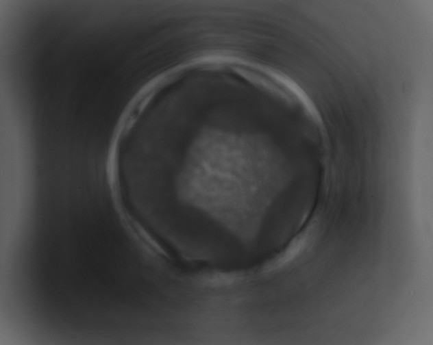 X0000100890815200807081039