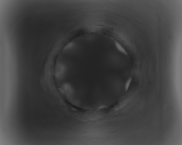 X0000100890817200807081039