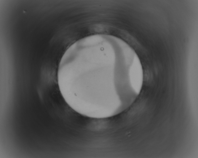 X0000100890820200807081039