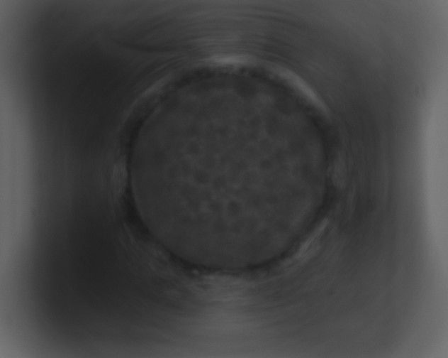 X0000100890821200807081039