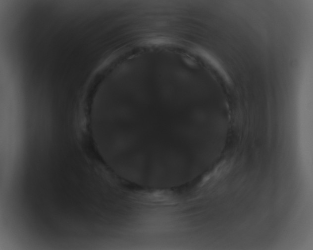 X0000100890823200807081039