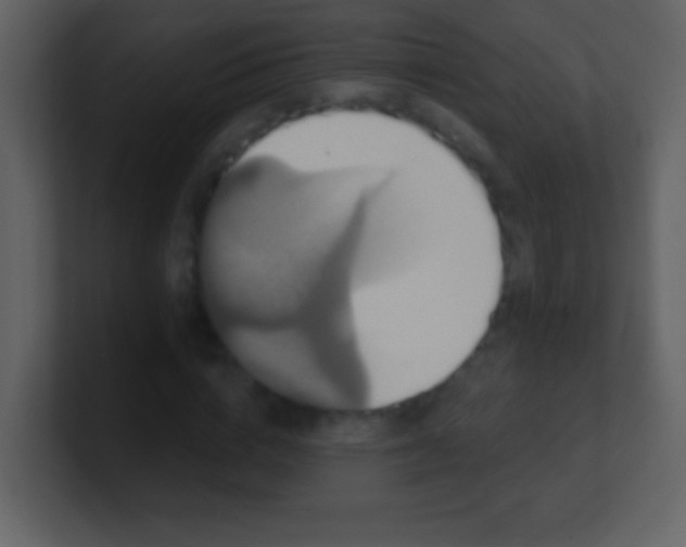 X0000100890824200807081039