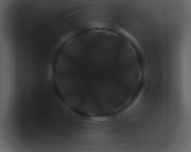 X0000100890825200807081039