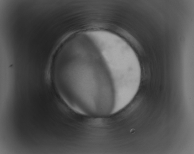 X0000100890828200807081039