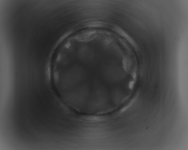 X0000100890829200807081039