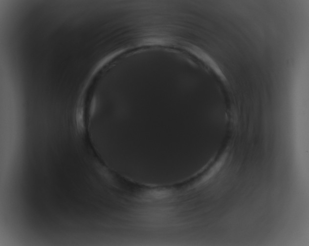 X0000100890830200807081039